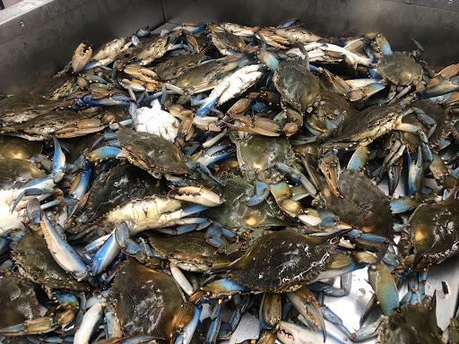 Supermarket «Jumbo Food International Supermarket», reviews and photos, 3201 Brinkley Rd, Temple Hills, MD 20748, USA