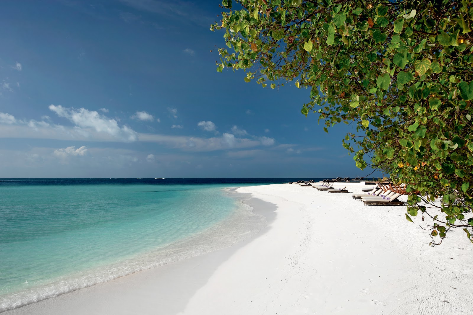 Constance Moofushi photo #8