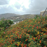 Photo n°4 de l'avis de Margherita.o fait le 15/08/2018 à 16:23 sur le  Agriturismo le Campanelle à Lascari