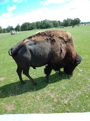 Orøstrand Dyrepark in Orø, Holbæk