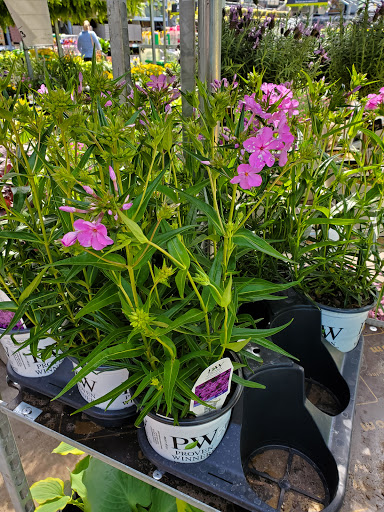 Home Improvement Store «The Home Depot», reviews and photos, 140 Countryside Plaza, Countryside, IL 60525, USA