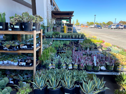 Home Improvement Store «The Home Depot», reviews and photos, 111 Shoreline Pkwy, San Rafael, CA 94901, USA