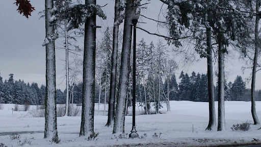 Golf Course «Chehalem Glenn Golf Course», reviews and photos, 4501 E Fernwood Rd, Newberg, OR 97132, USA