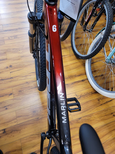 Bicycle Store «East Coast Bicycles», reviews and photos, 1910 Colley Ave, Norfolk, VA 23517, USA