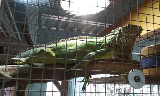 Museum «Discovery Place Nature», reviews and photos, 1658 Sterling Rd, Charlotte, NC 28209, USA