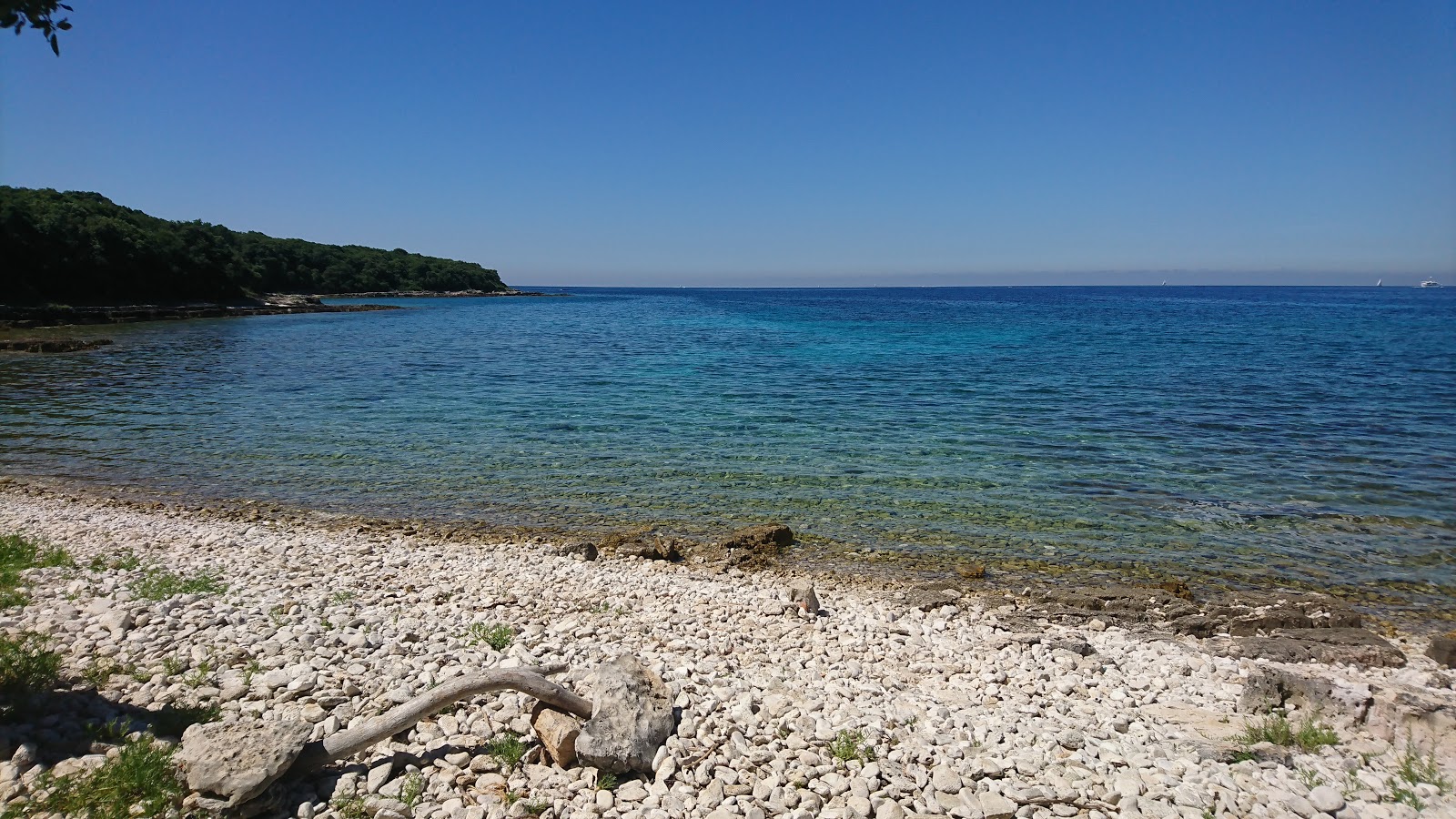 Plyazh Palud'in fotoğrafı küçük koy ile birlikte