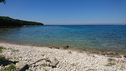 Plyazh Palud'in fotoğrafı küçük koy ile birlikte