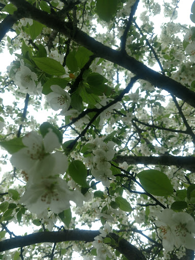 Lodge «The Lodge at Liberty Forge», reviews and photos, 3804 Lisburn Rd, Mechanicsburg, PA 17055, USA