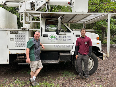 Collins Tree Experts