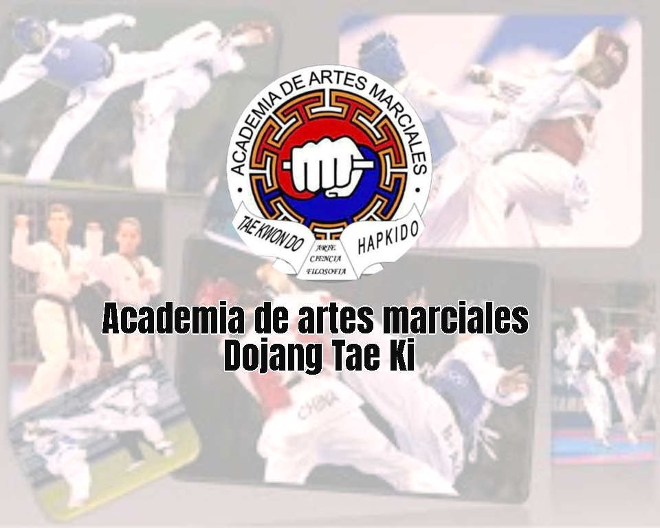 Academia De Artes Marciales Dojang Tae Ki