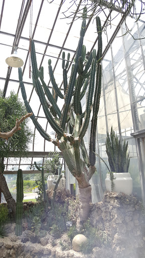 Aquarium «Belle Isle Aquarium», reviews and photos, 900 Inselruhe Ave, Detroit, MI 48207, USA