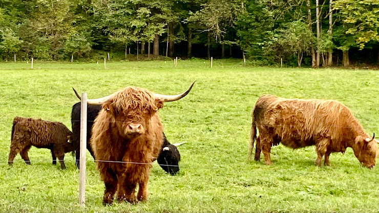 Photo Gasthaus/Pension Wegerer-Hof 82431 Kochel