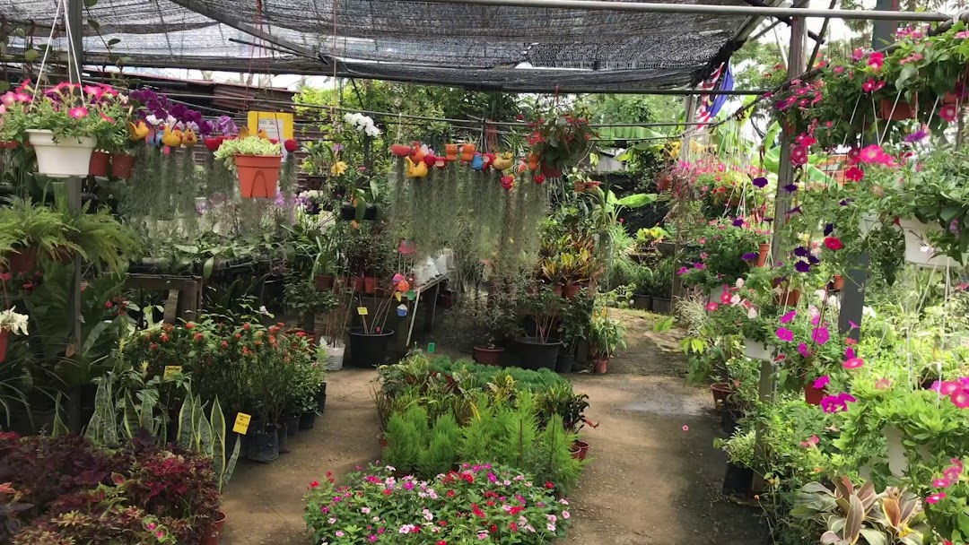 Salloma Nursery & Landscape Sdn Bhd