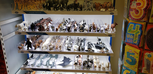 Toy Store «Piccolo Mondo Toys», reviews and photos, 12345 SW Horizon Blvd, Beaverton, OR 97007, USA