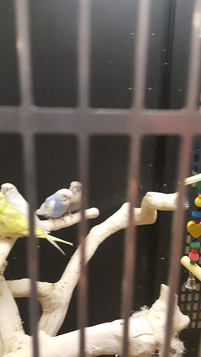 Pet Supply Store «PetSmart», reviews and photos, 1836 Joe Battle Blvd, El Paso, TX 79936, USA