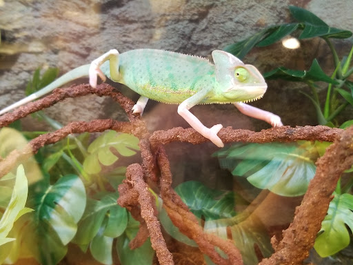 Pet Supply Store «Petco Animal Supplies», reviews and photos, 860 Broadway, New York, NY 10003, USA