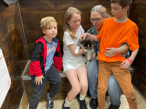 Pet Supply Store «Petland Dallas», reviews and photos, 11909 Preston Rd, Dallas, TX 75230, USA