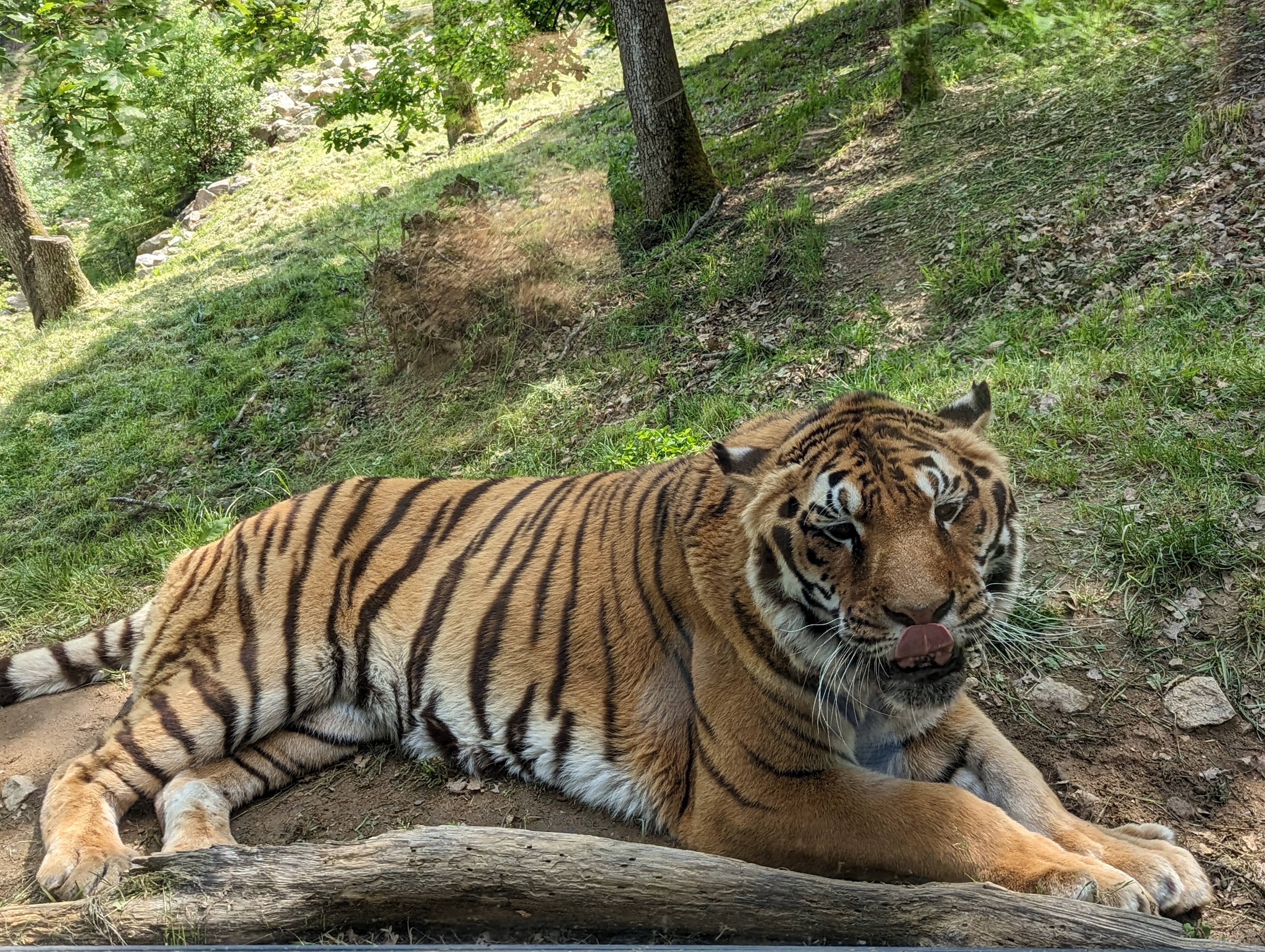 Photo n° 3 de l'avis de Loic.a fait le 15/05/2023 à 17:42