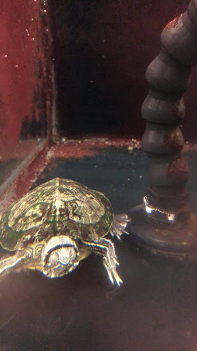 Pet Supply Store «Petco Animal Supplies», reviews and photos, 1680 Campbell Ln, Bowling Green, KY 42104, USA