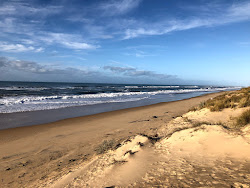 Mcloughlins Beach'in fotoğrafı ve yerleşim