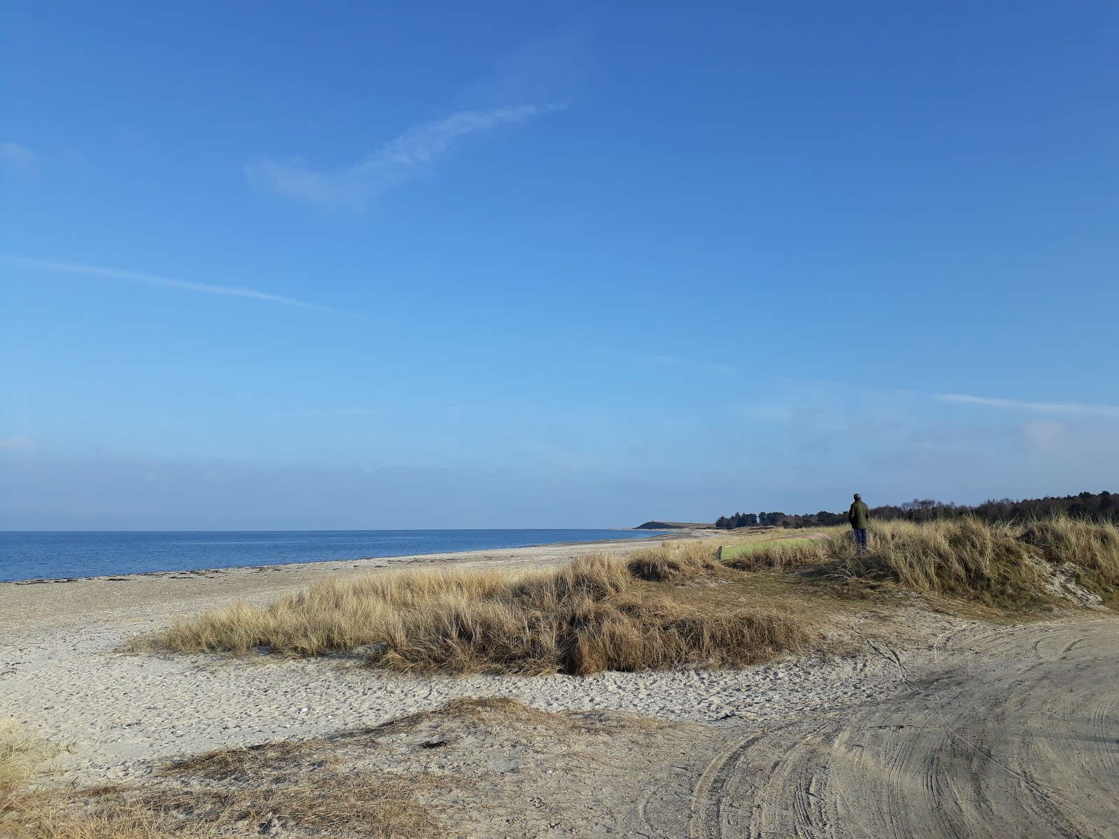 Gjerrild Nord Beach的照片 带有长直海岸
