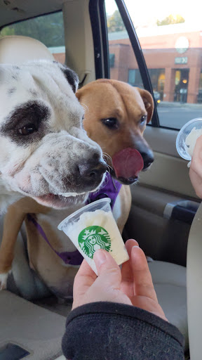 Coffee Shop «Starbucks», reviews and photos, 5975 Peachtree Pkwy, Norcross, GA 30092, USA