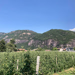 Photo n°2 de l'avis de Milan.e fait le 05/07/2023 à 08:27 sur le  Amadeus Ora&Amore à Auer