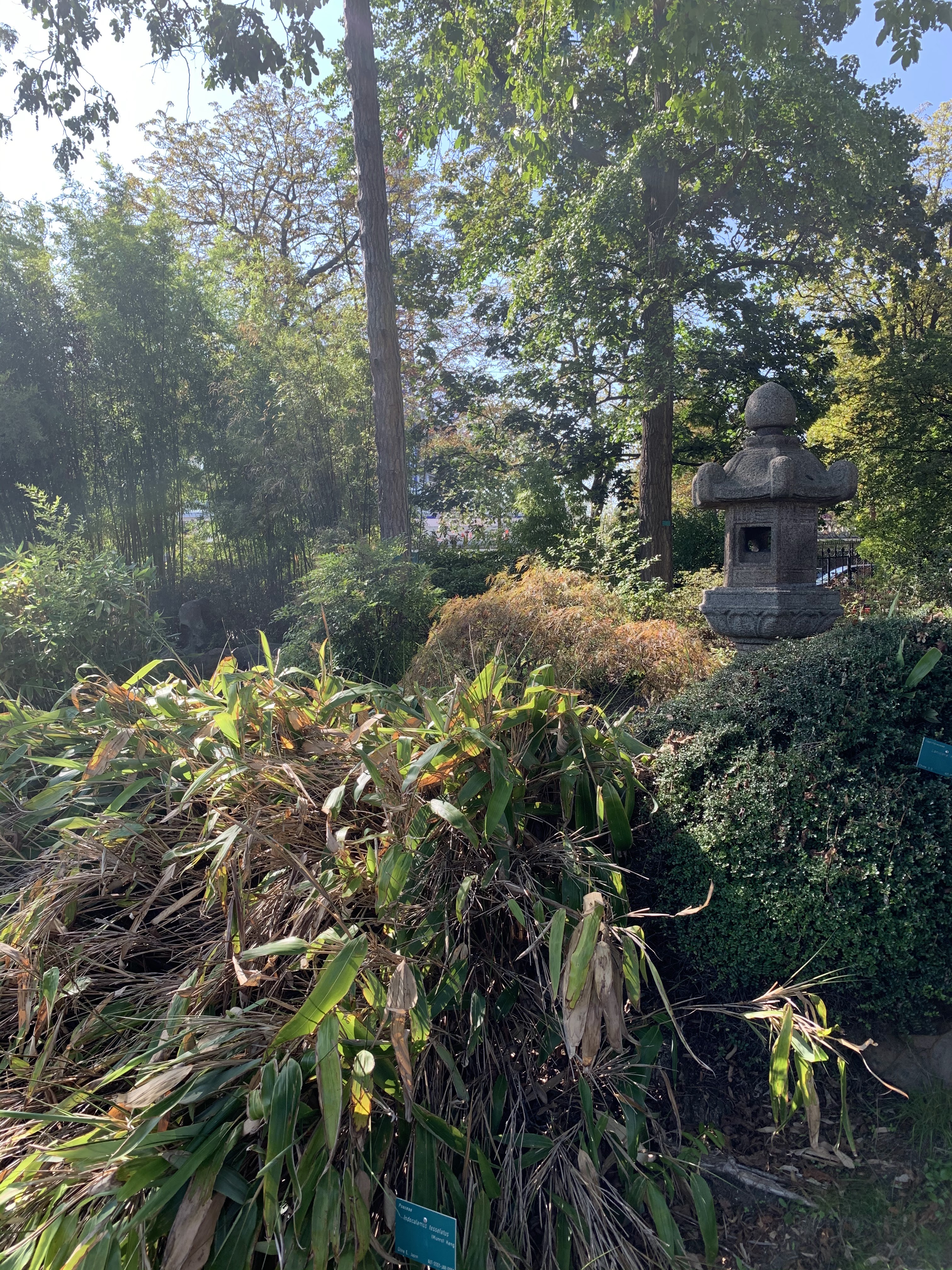 Photo n° 4 de l'avis de Yves.e fait le 23/08/2019 à 11:11