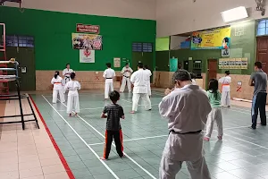 Shinkyokushin Dojo Keparakan image