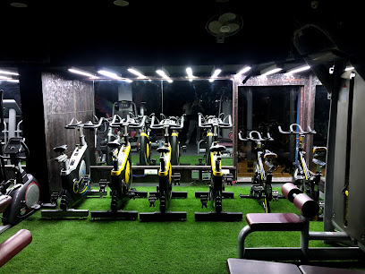 Octane Gym Sector 19 - Sco 21 - 22, 19D, Sector 19, Chandigarh, 160019, India