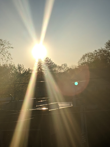 Supermarket «The Harrison Market», reviews and photos, 355 Halstead Ave, Harrison, NY 10528, USA