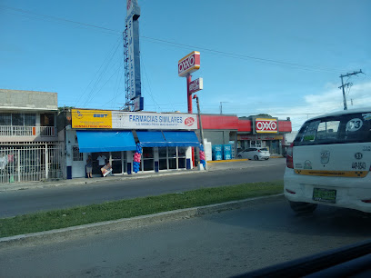 Farmacias Similares, , Hidalgo