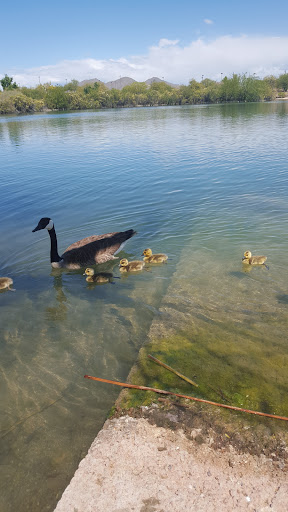 Recreation Center «Red Mountain Center», reviews and photos, 7550 E Adobe Rd, Mesa, AZ 85207, USA