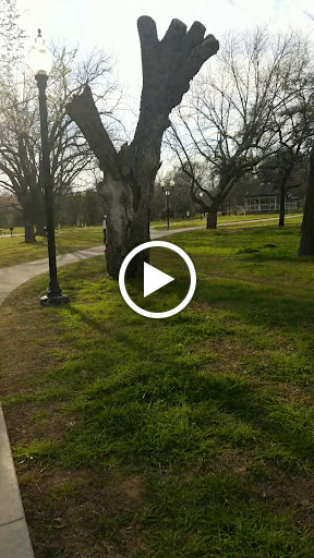 Park «Bob Eden Park», reviews and photos, 901 W Mid Cities Blvd, Euless, TX 76039, USA