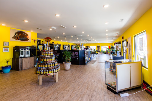 Tobacco Shop «Eclipse», reviews and photos, 4922 Williamsport Pike Suite A, Martinsburg, WV 25404, USA