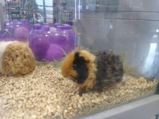 Pet Groomer «We Lov Pets», reviews and photos, 3853 Northpointe Dr, Zanesville, OH 43701, USA