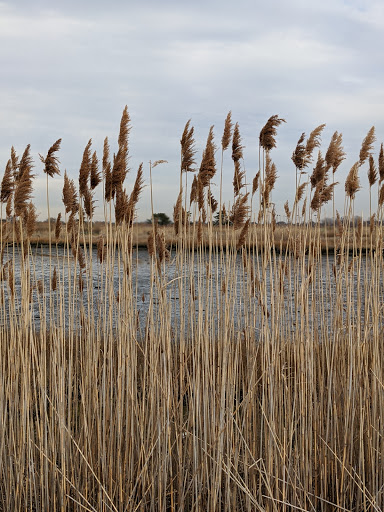 Park «Oceanside Park», reviews and photos, 3800 Mahlon Brower Dr, Oceanside, NY 11572, USA