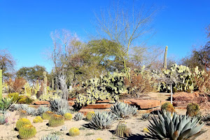 Ethel M Botanical Cactus Garden