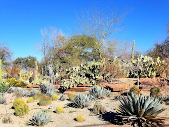 Ethel M Botanical Cactus Garden