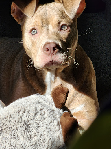 Montrose Veterinary Hospital image