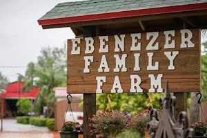 Ebenezer Family Farm