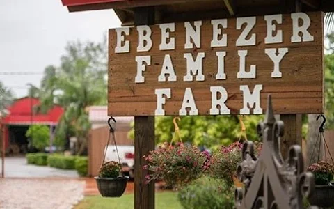 Ebenezer Family Farm image