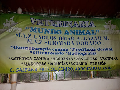 Veterinaria Mundo Animal