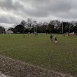 Saracens Amateur RFC