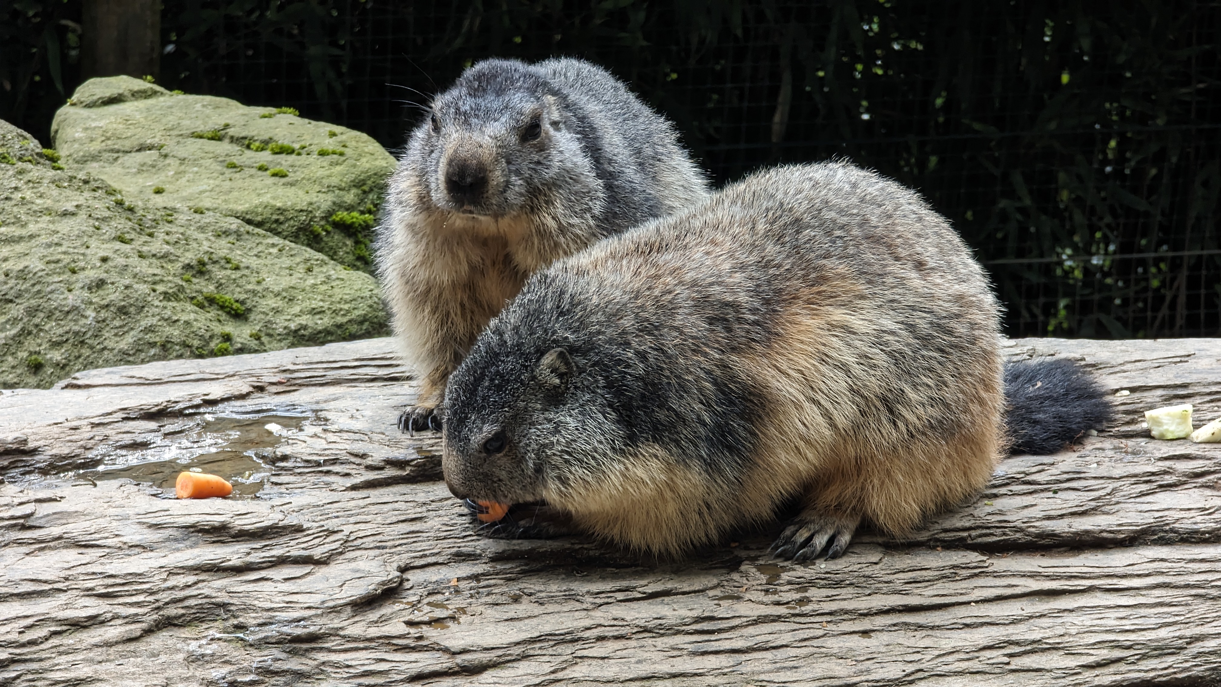 Photo n° 1 de l'avis de OruhaSue. fait le 29/09/2023 à 21:35