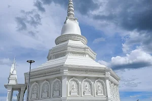 Wat Pa Weluwan Wanaram image
