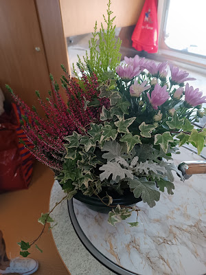Jardins de France, Artisan Fleuriste Denain à Denain