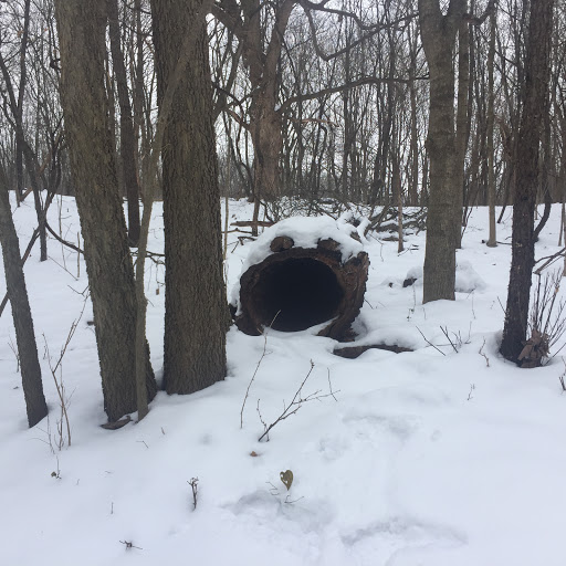 Nature Preserve «Hickory Creek Preserve», reviews and photos, Wolf Rd, Mokena, IL 60448, USA