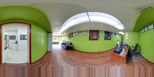 Explore blue jay tattoo ideas, creative tattoo ideas in Peoria Heights, available at Twisted Vision Inc