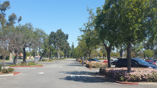 Department Store «Target», reviews and photos, 20200 Bloomfield Ave, Cerritos, CA 90703, USA